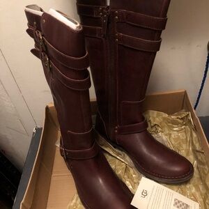 NEW  Gillespie tall brown leather sheepskin motorcycle riding UGG boots, s 8.5